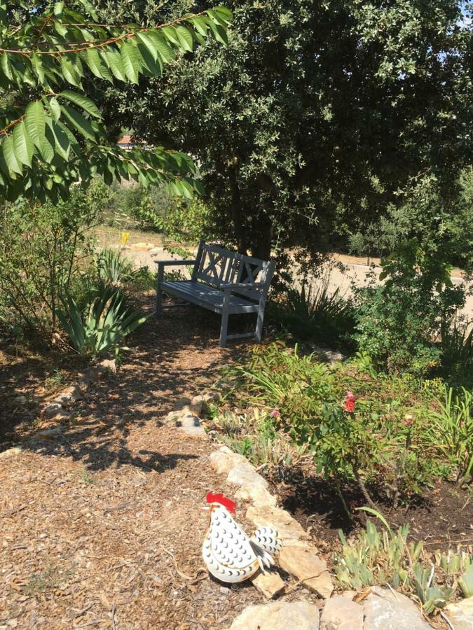 Les Karakis, Piscine Au Sel, Jardin 5000M2 Βίλα Les Arcs-sur-Argens Εξωτερικό φωτογραφία
